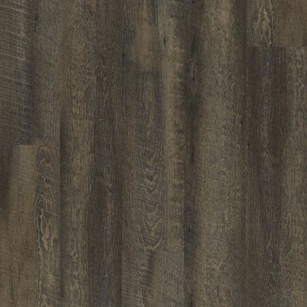 Parkway Dryback Bark